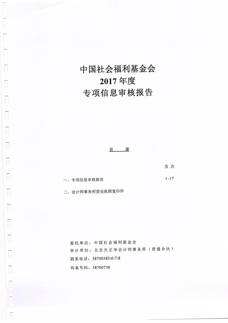 中國(guó)社會(huì)福利基金會(huì)2017年專項(xiàng)信息審核報(bào)告_頁面_02.jpg